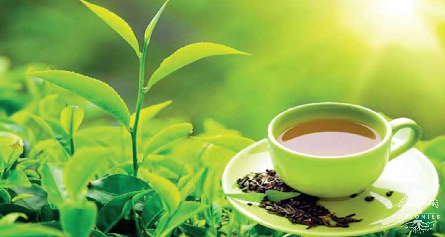 World Tea day