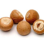 Dried Areca Nut
