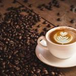 Animal Digestive Fermentation: Transforming Coffee into Luxury
