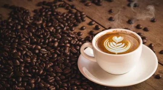 Animal Digestive Fermentation: Transforming Coffee into Luxury