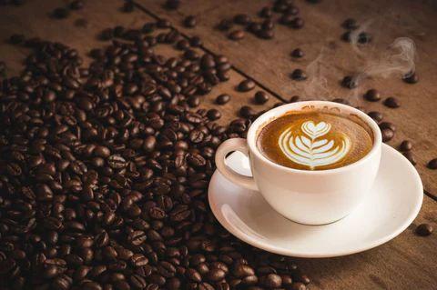 Animal Digestive Fermentation: Transforming Coffee into Luxury