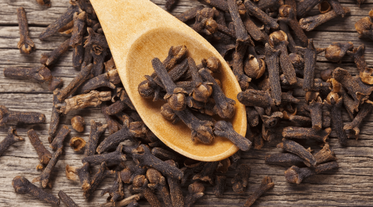 Unveiling the Aromatic Majesty of Ceylon Cloves