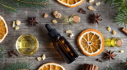 More than a spice; Ceylon Cinnamon's Industrial Applications