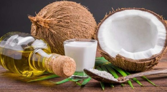 Bunch of Food from Coconut Tree