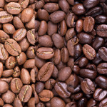 All about Coffee Beans