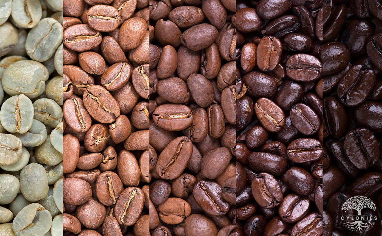 All about Coffee Beans