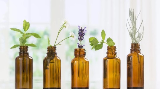 Things to Know about Essential Oils