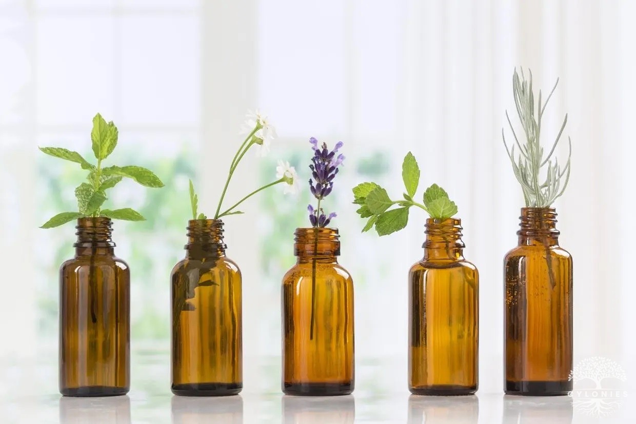 Things to Know about Essential Oils