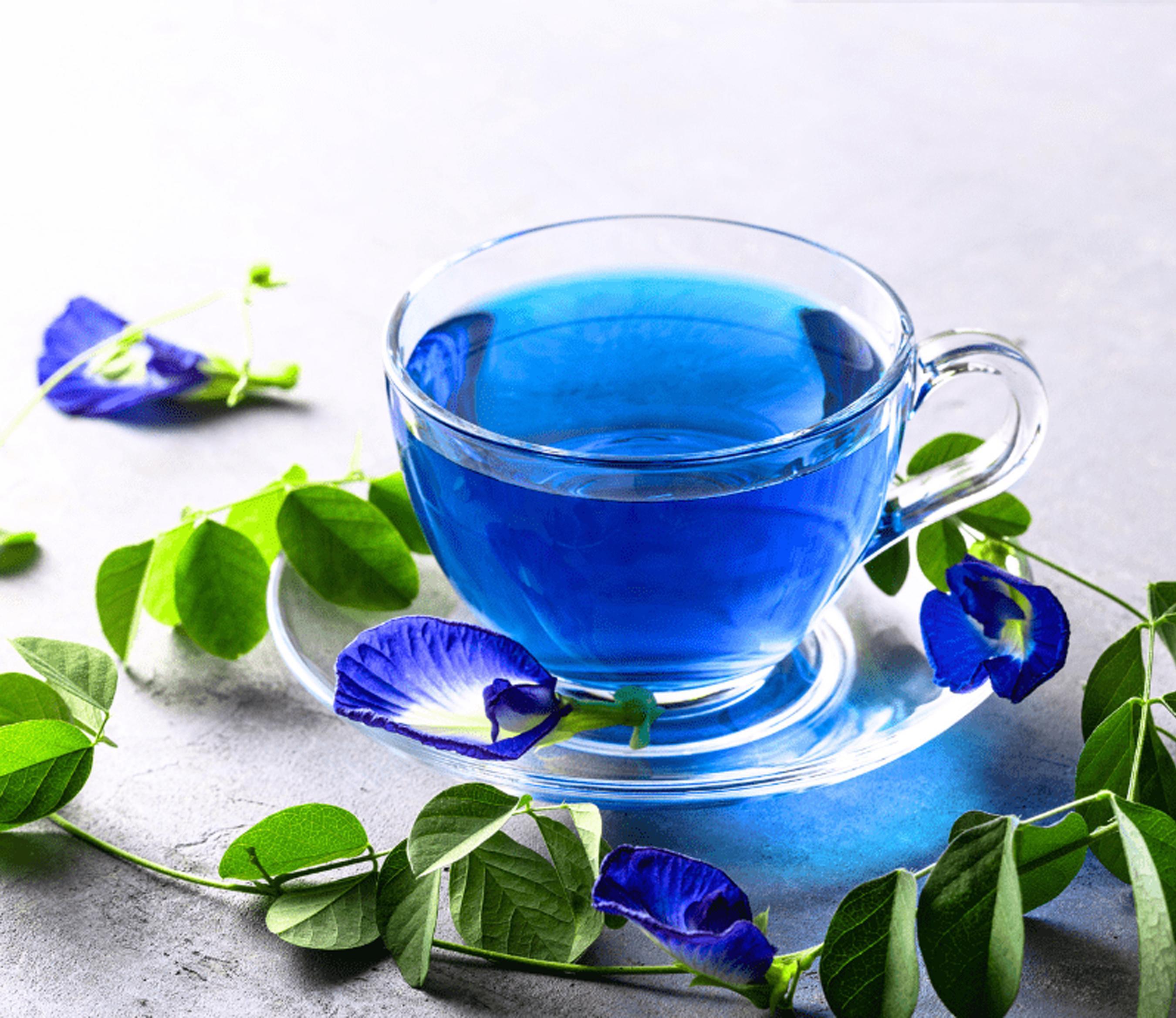 Why Blue Butterfly Tea Is Becoming a Global Trend