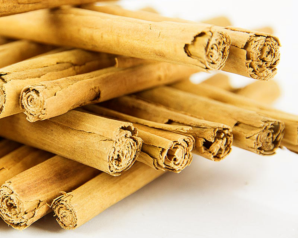 Ceylon Cinnamon Bark Oil