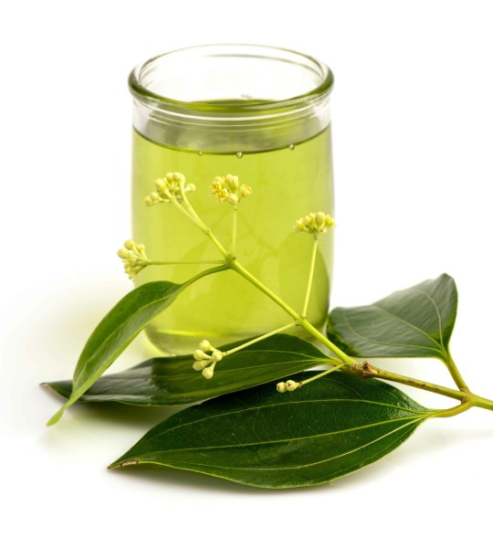 Ceylon Cinnamon Leaf Oil