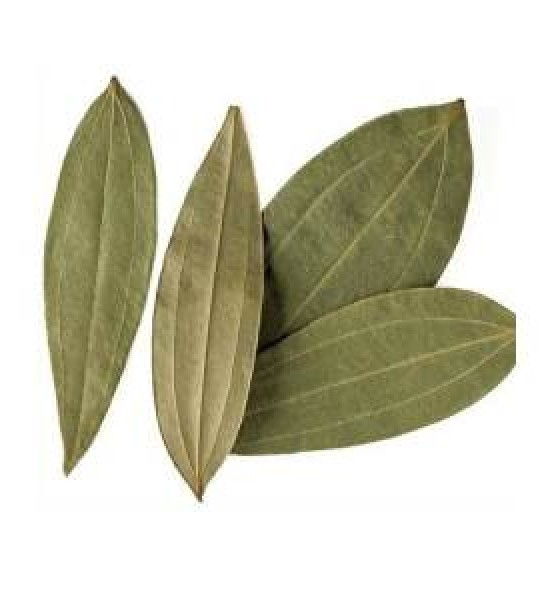 Dried Green Cinnamon Leaves