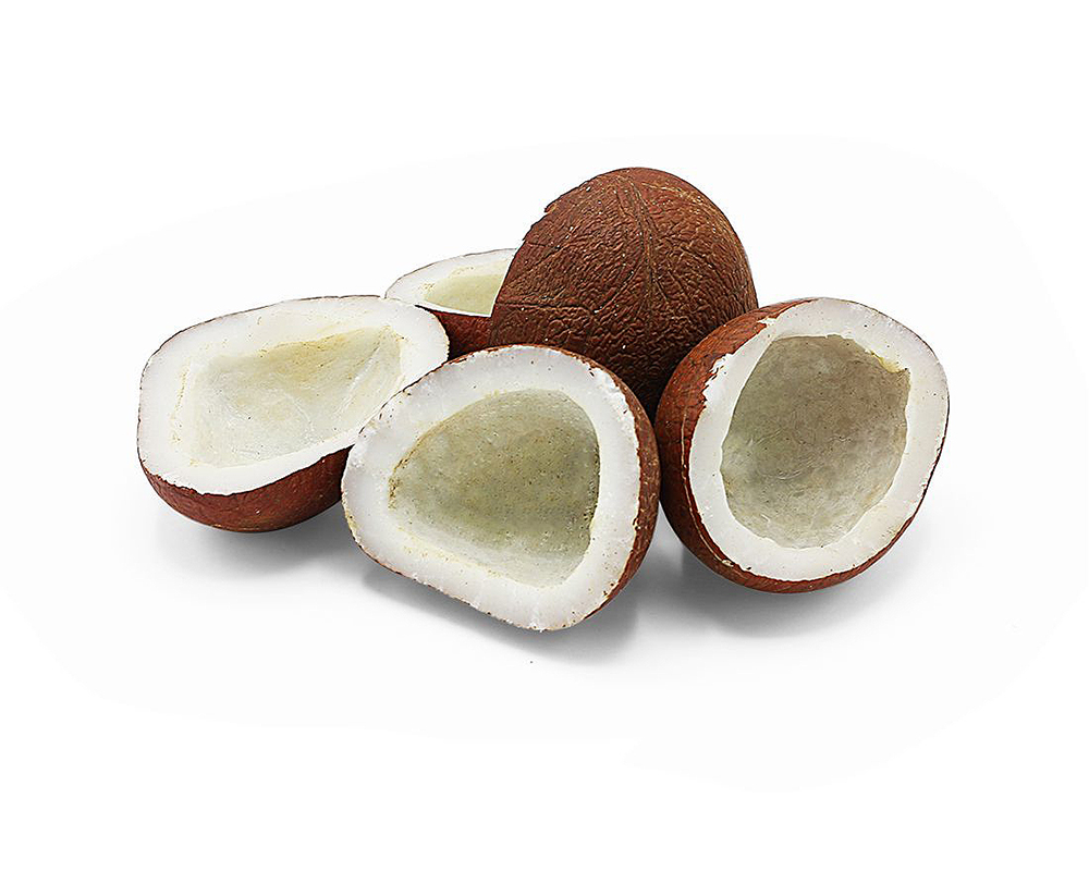 Coconut Copra Price Today edu.svet.gob.gt