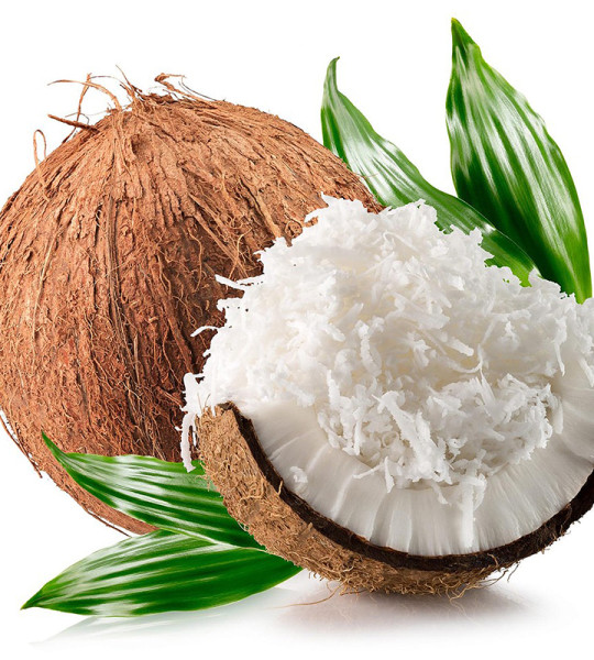 Desiccated coconut - High fat regular cut