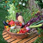 Eco conscious Eating - Low carbon foods for a green tomorrow