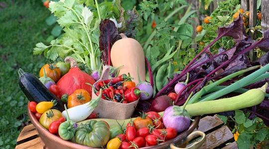 Eco conscious Eating - Low carbon foods for a green tomorrow