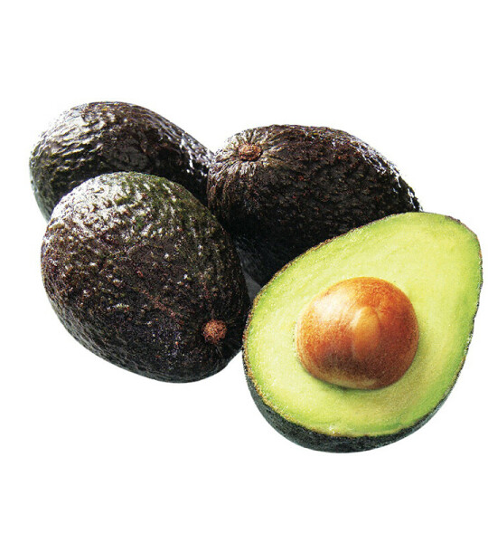 Fresh Hass Avocado