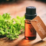 Oregano Oil