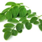 Moringa Leaf Powder