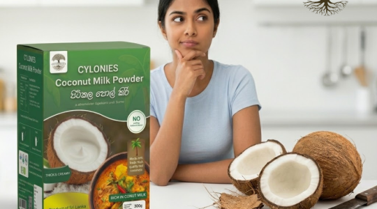Why Coconut Milk Powder Is Better Than Using Fresh Coconuts for Cooking