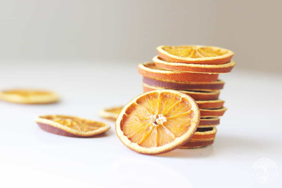 how-to-dry-orange-slices-in-the-oven-for-decor-15.jpg