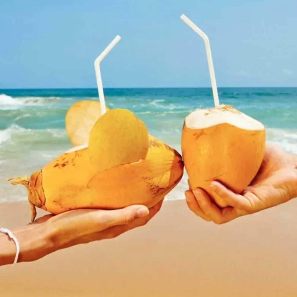 King Coconut Water Glass Bottle 300ml