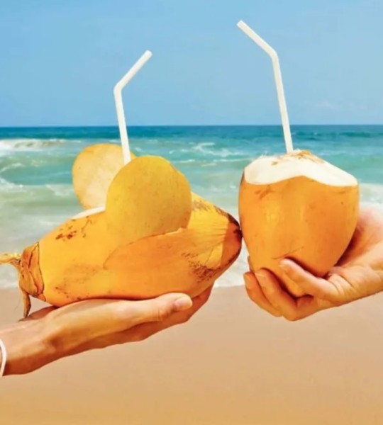 King Coconut Water -Metal Can - 250ml