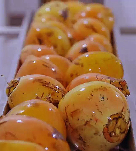 King Coconut - Fresh