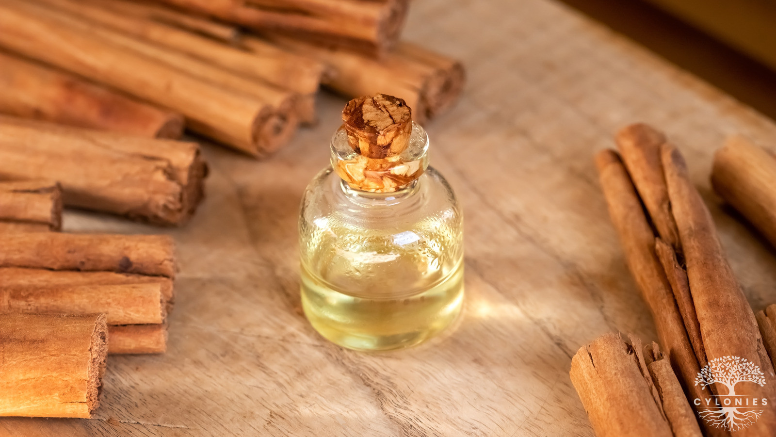 Key Component of Cinnamon Oil; Cinnamaldehyde