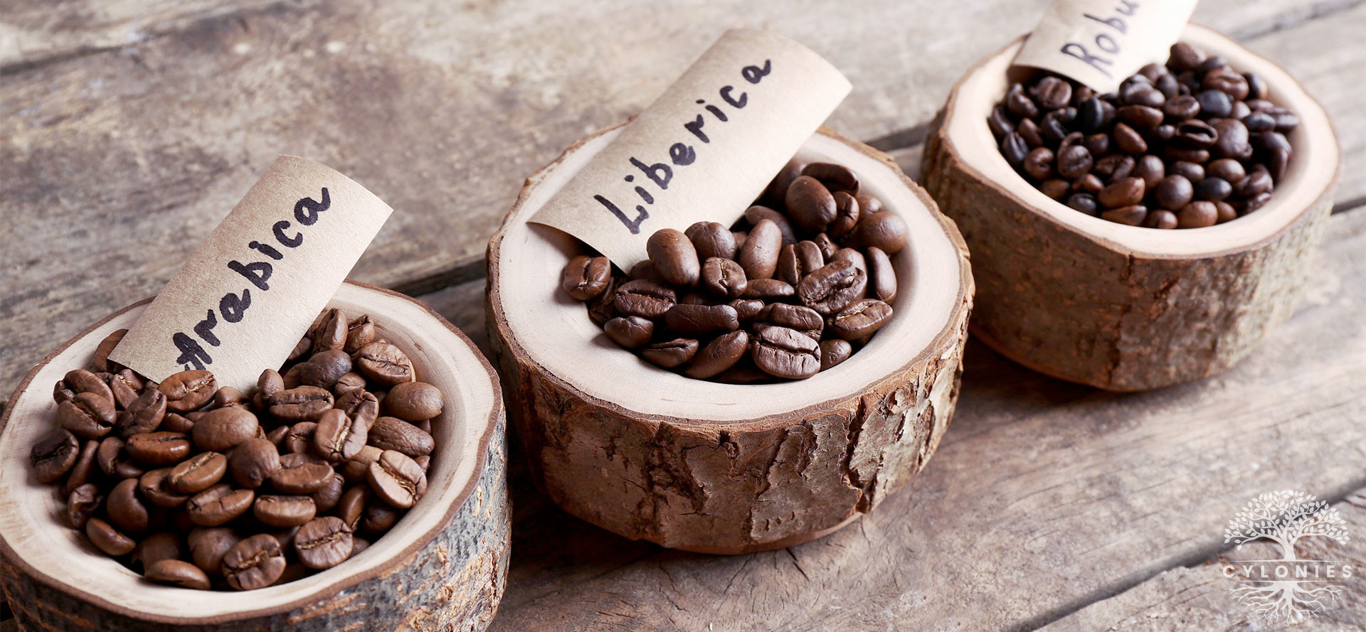 main-types-of-coffee-beans.jpg