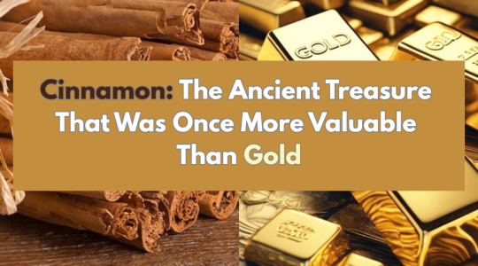 Cinnamon: The Ancient Treasure That Was Once More Valuable Than Gold